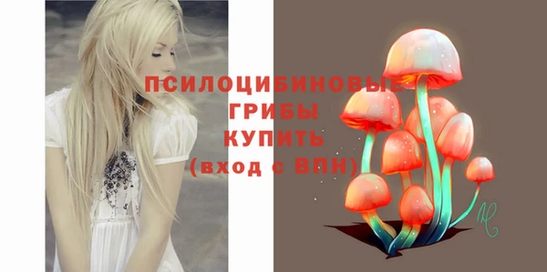 крисы Белокуриха